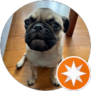 Leong K Lam profile picture